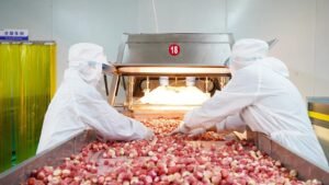 1e51df79bb200a47cac774f4186dabef